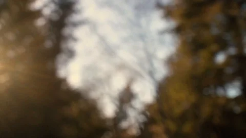 Blurry Trees outside of the window of a moving car Stock Footage 128460830