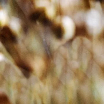 Blurry unfocused background Stock Photos