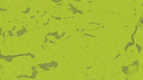 Blurry video of irregular shapes moving randomly  Video stock 295749863