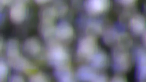 Blurry view at a plasma tv while showing television activity. Stock Footage 164335077