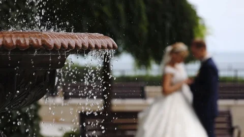 Blurry wedding couple in elegant dressing hugs and kisses Stock Footage 113078633