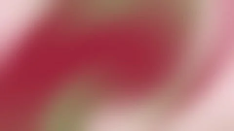 Blush and Sage Soft Wedding Gradient Background Clean 動画素材 307413995