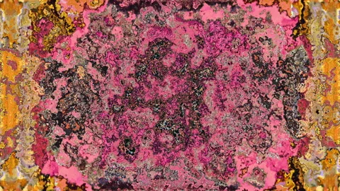Blush Core Beneath Weathered Layers Stock Footage 329194715