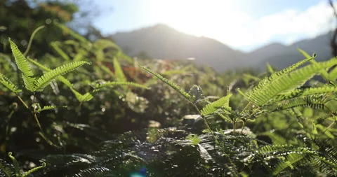 BM8I4462pr Stock Footage 159738866