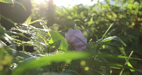 BM8I4471pr Stock Footage 159738939