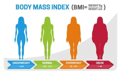 BMI Body Mass Index Vector Illustration with Woman Silhouette from Underweigh Stock Illustration