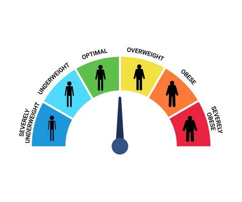 Bmi categories chart, body mass index and scale mass people. Severely underwe Stock Illustration