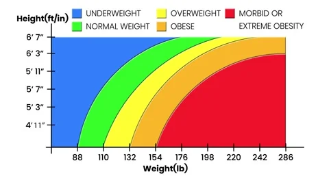 BMI chart showing weight categories by height and weight in imperial units Stock Footage 312594378
