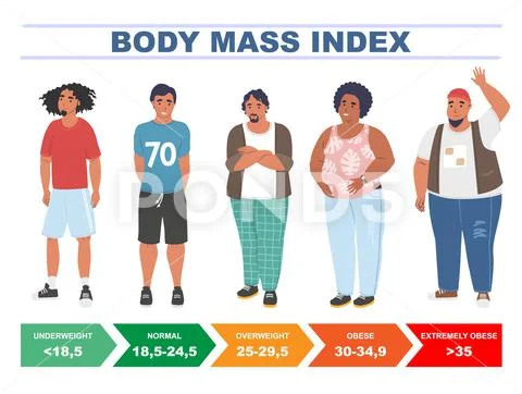 BMI, body mass index chart, vector illustration. Obese, overweight