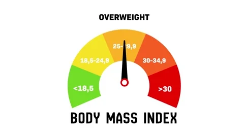 BMI Scale Animation, Body Mass Index Gauge Showing Obesity Level Stock Footage 314754471