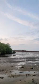 Bms harbor Foto stock