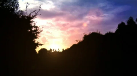 BMX Stock Footage 491787