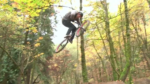 BMX Sanctuary in the Forest 2 Vídeos de archivo 12537596