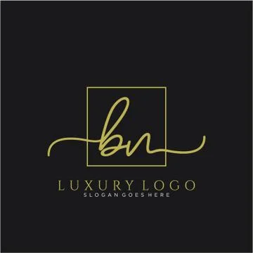 BN Initial handwriting logo design Stock Illustration