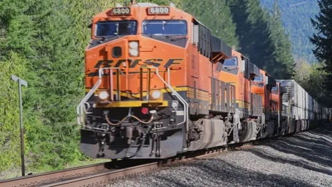 BNSF intermodal freight train passing Cascade Range forest 스톡 동영상 276235822