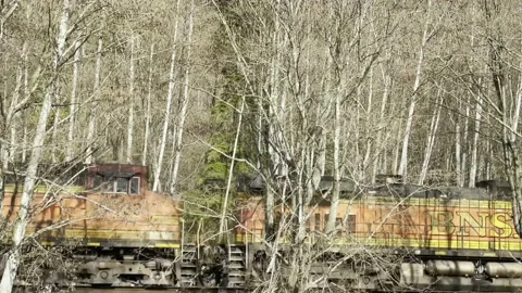 BNSF Train in Forest Stock Footage 172115481