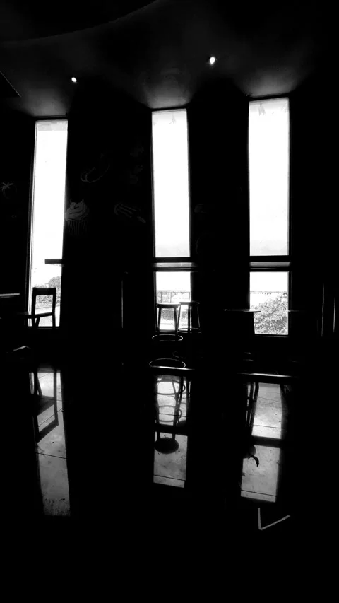 BNW Interior Silhouette, Vertical Видео 306139405