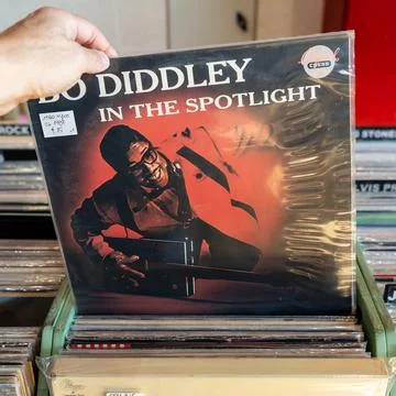 Bo Diddley in the Spotlight Stock Photos