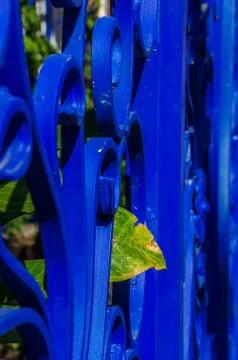 Bo kaap, cape town 107-leaf Stock Photos