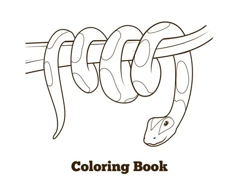 Boa cartoon coloring book vector illustration 库存插图
