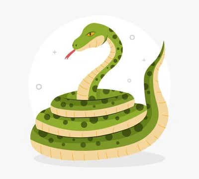 Boa constrictor for kid Stock Illustration