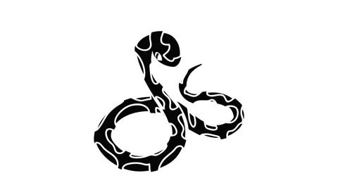 Boa snake icon animation Stock Footage 152770918