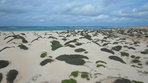 Boa Vista beautiful landscape filmed in 4K Stock Footage