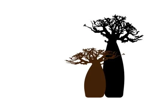 Boab or Baobab Tree background with copy space for your text, vector isolated Stock Illustration