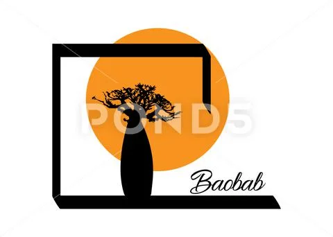 Boab or Baobab Tree Vector isolated, silhouette logo icon and sunset ...