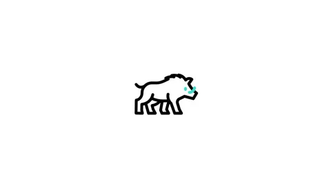Boar Animated Icon Stock Footage 320201200