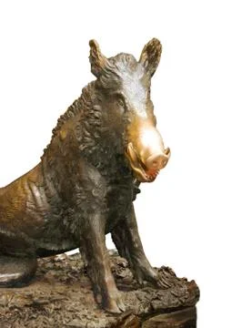 Boar in florence Stock Photos