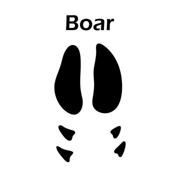 Boar Footprint Stock Illustration