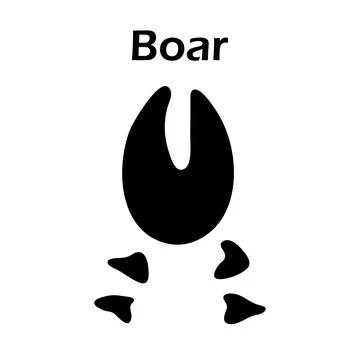 Boar Footprint Stock Illustration