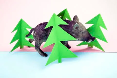 Boar in the forest. Stock Photos