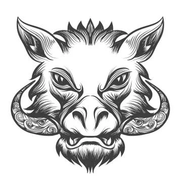 Boar head Stock Illustration