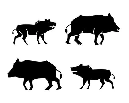 Boar icons and symbol in silhouette style Stock Illustration