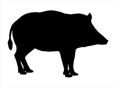 Boar silhouette vector art Stock Illustration