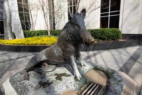 Boar Statue Stock Photos