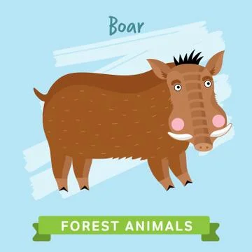 Boar Vector, forest animals. Stock Illustration