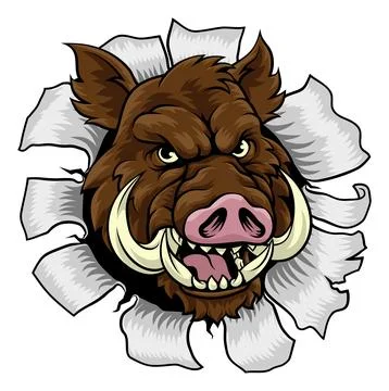 Boar Wild Hog Razorback Warthog Pig Sports Mascot Stock Illustration