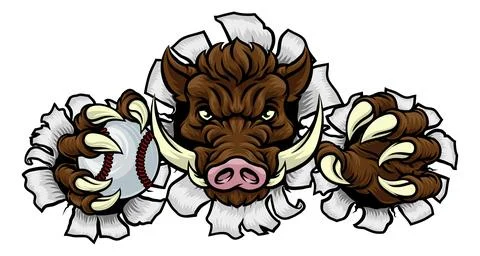 Boar Wild Hog Razorback Warthog Baseball Mascot Stock Illustration