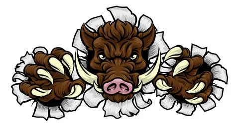 Boar Wild Hog Razorback Warthog Pig Sports Mascot Stock Illustration