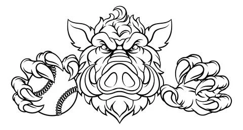 Boar Wild Hog Razorback Warthog Baseball Mascot Stock Illustration
