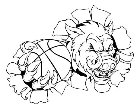 Boar Wild Hog Razorback Warthog Basketball Mascot イラスト素材