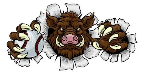 Boar Wild Hog Razorback Warthog Baseball Mascot Stock Illustration