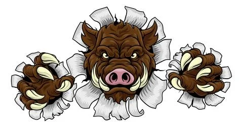 Boar Wild Hog Razorback Warthog Pig Sports Mascot Stock Illustration