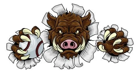 Boar Wild Hog Razorback Warthog Baseball Mascot Stock Illustration