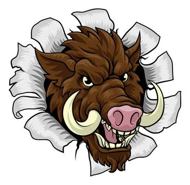 Boar Wild Hog Razorback Warthog Pig Sports Mascot Stock Illustration