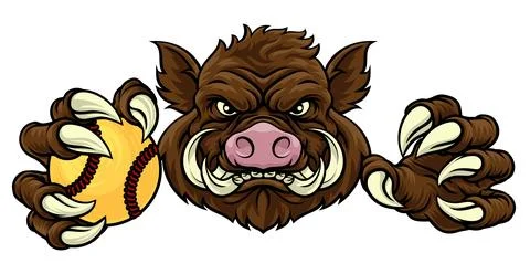 Boar Wild Hog Razorback Warthog Softball Mascot Stock Illustration