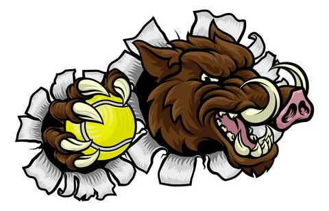 Boar Wild Hog Razorback Warthog Pig Tennis Mascot Stock Illustration